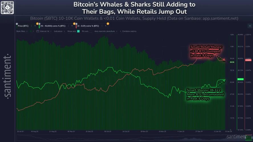 如何通过比特派钱包增强市场竞争力 多链管理抓住投资机会
